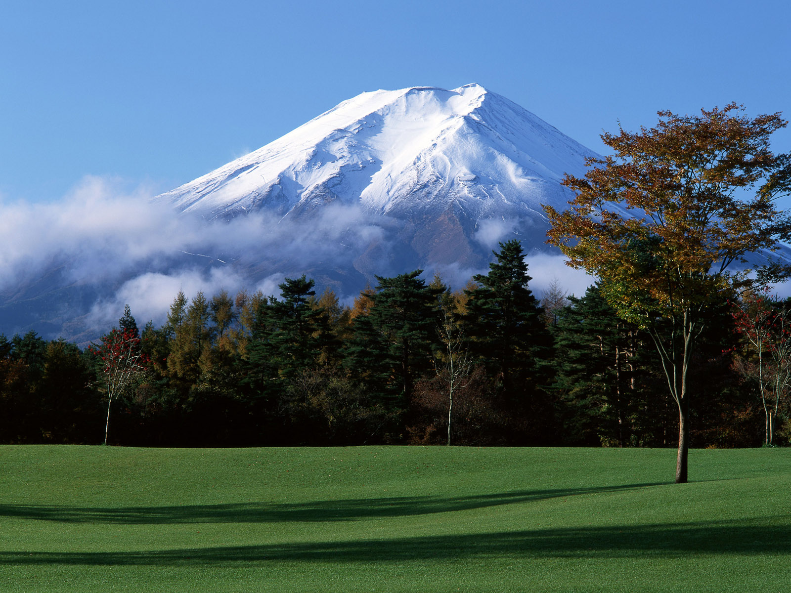 Mountain Fuji Japan