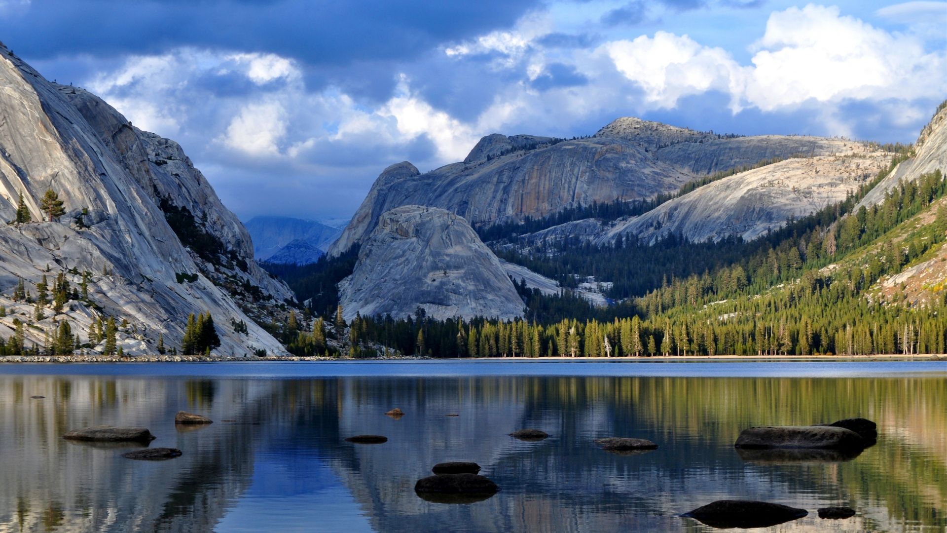 Summer Mountain Landscape