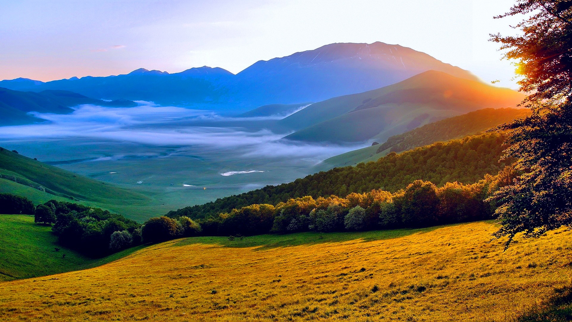 Summer Sunset Landscape