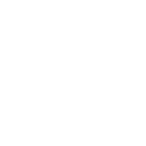 White Phone Icon