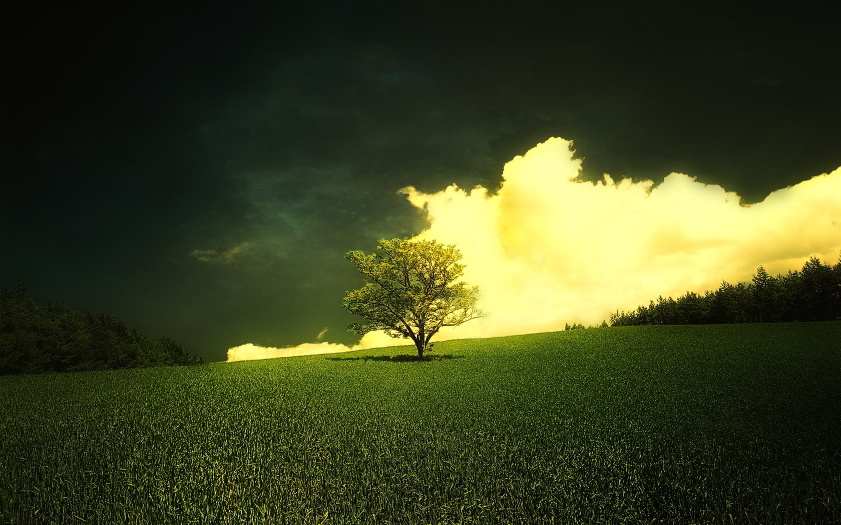 Amazing Spring Nature Amazing Spring Nature