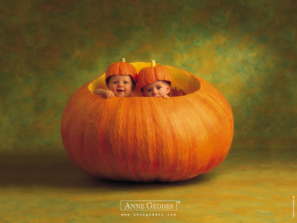 Anne Geddes Pumpkin