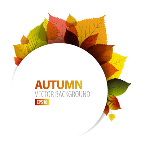 Autumn Leaves Vector Graphic