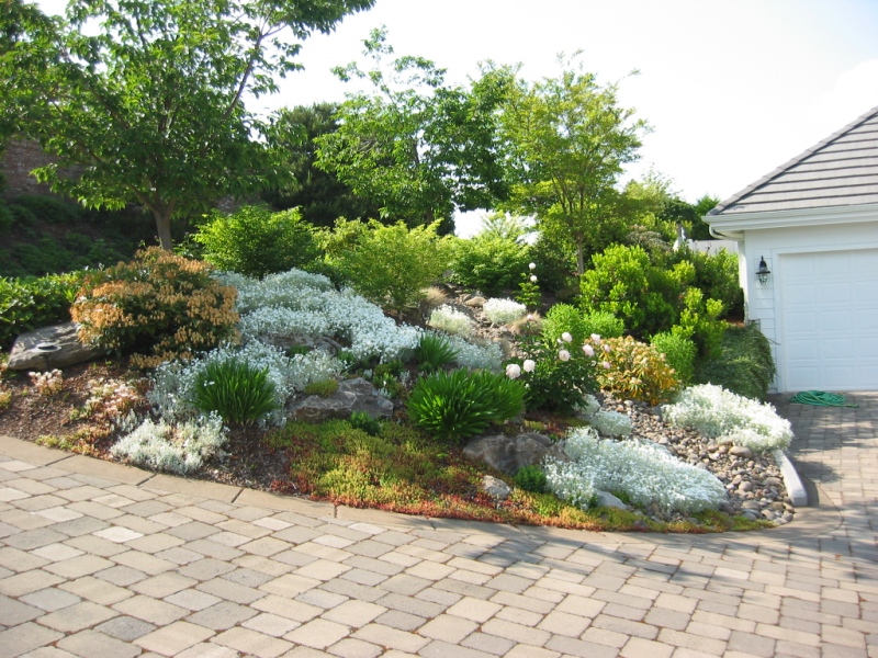 Back Yard Rock Garden Designs