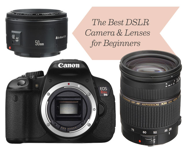 Best Canon Camera for Beginner Photographer