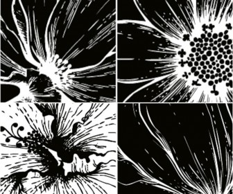 Black and White Flower Vector