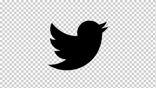 Black Twitter Logo Vector