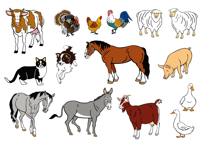 Cartoon Farm Animals Vector