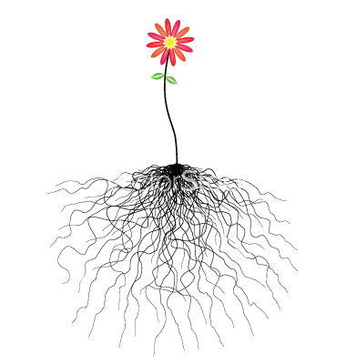 Cartoon Flower with Roots