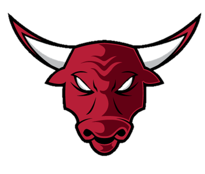 Chicago Bulls Logo