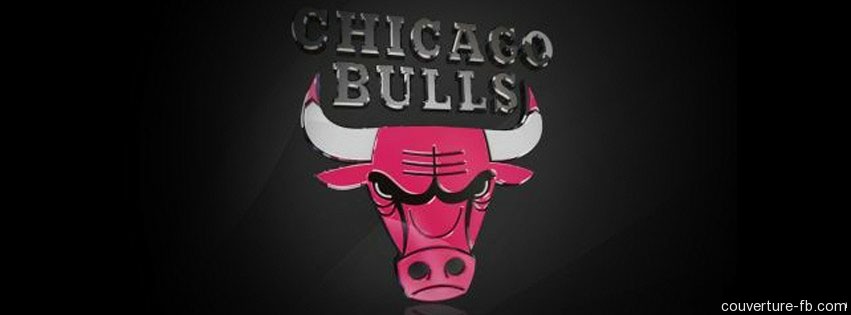 Chicago Bulls Logo