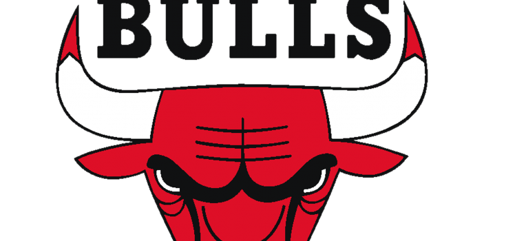 Chicago Bulls Logo