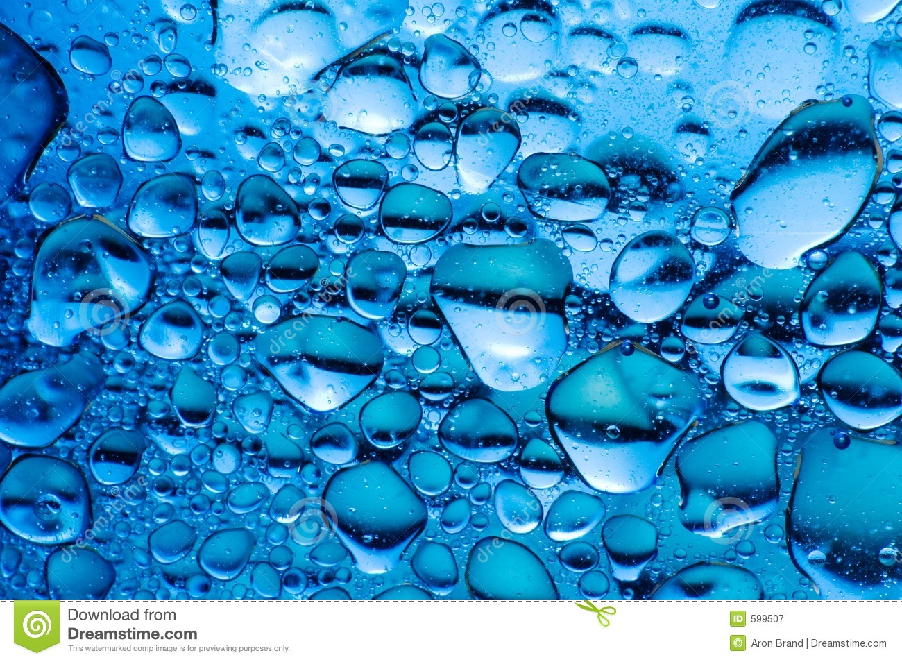 Cool Underwater Photography Cool Underwater Photography