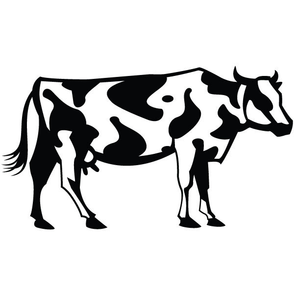 Cow Vector Clip Art