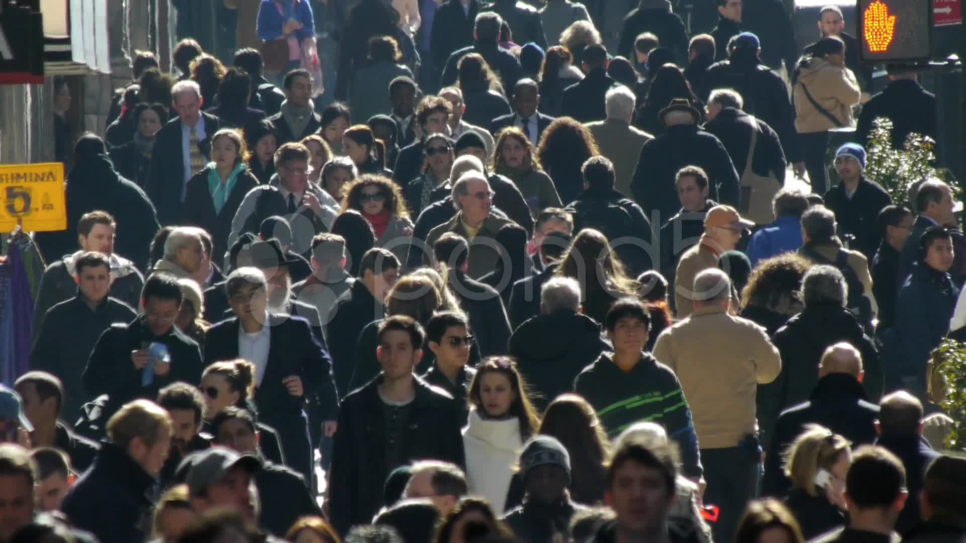 Crowd of People Walking On Street