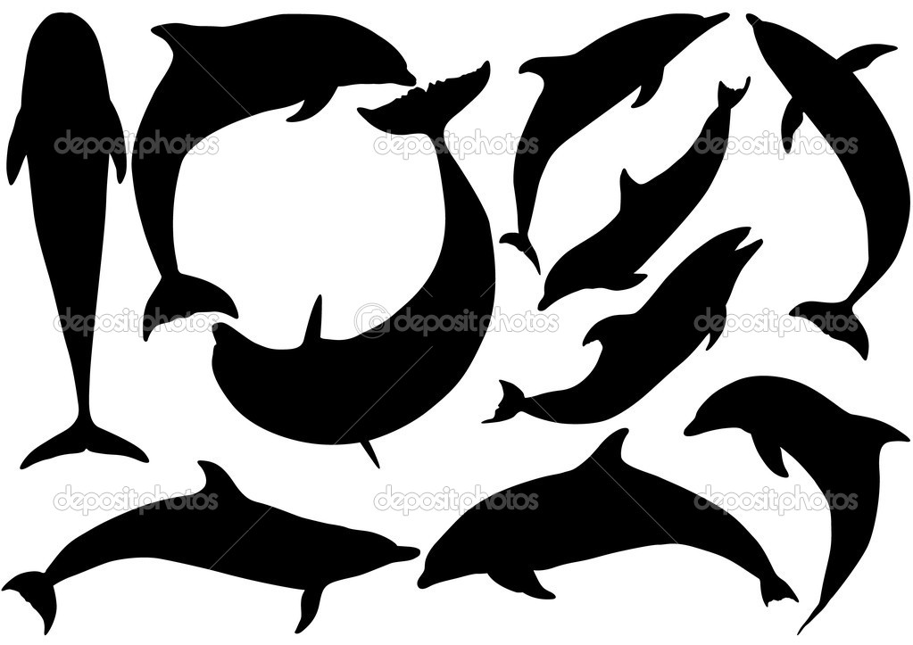 Dolphin Silhouette Vector White Dolphin Silhouette Vector White