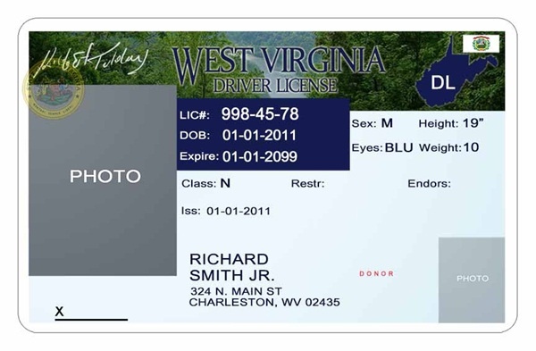 7 Florida Driver License Psd Template Images Florida Drivers License