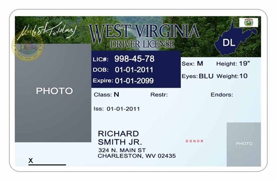 Driver License Template Photoshop