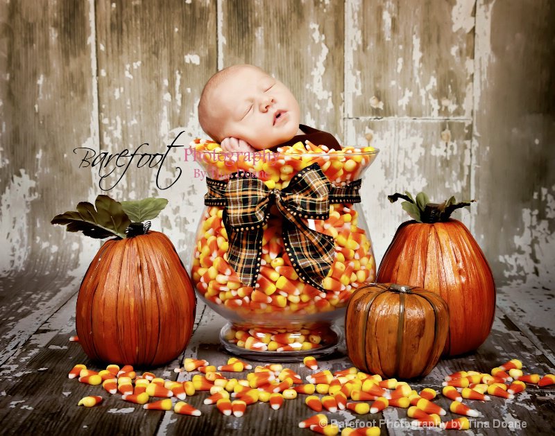 Fall Baby Photography Ideas