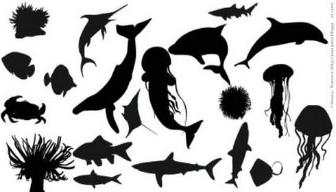 Fish Silhouette Vector Free Fish Silhouette Vector Free