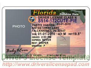 7 Florida Driver License PSD Template Images