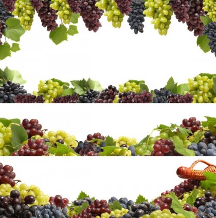 Free Fruit Borders