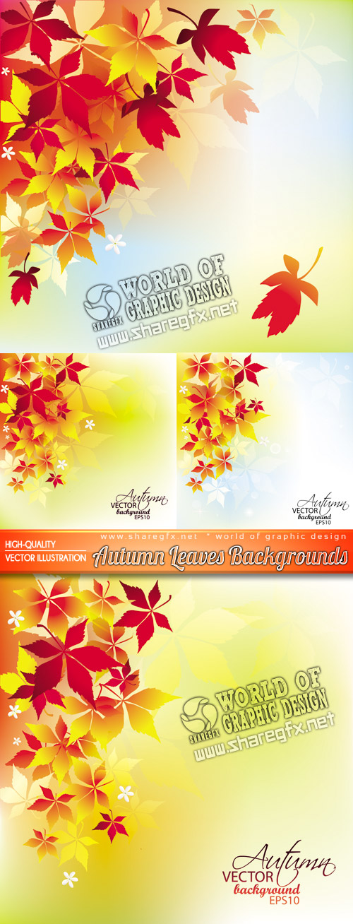 Free Images Autumn Leaves