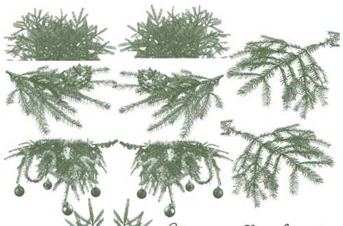 Free Photoshop Christmas Tree Branches
