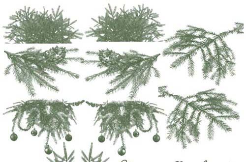 Free Photoshop Christmas Tree Branches Free Photoshop Christmas Tree Branches