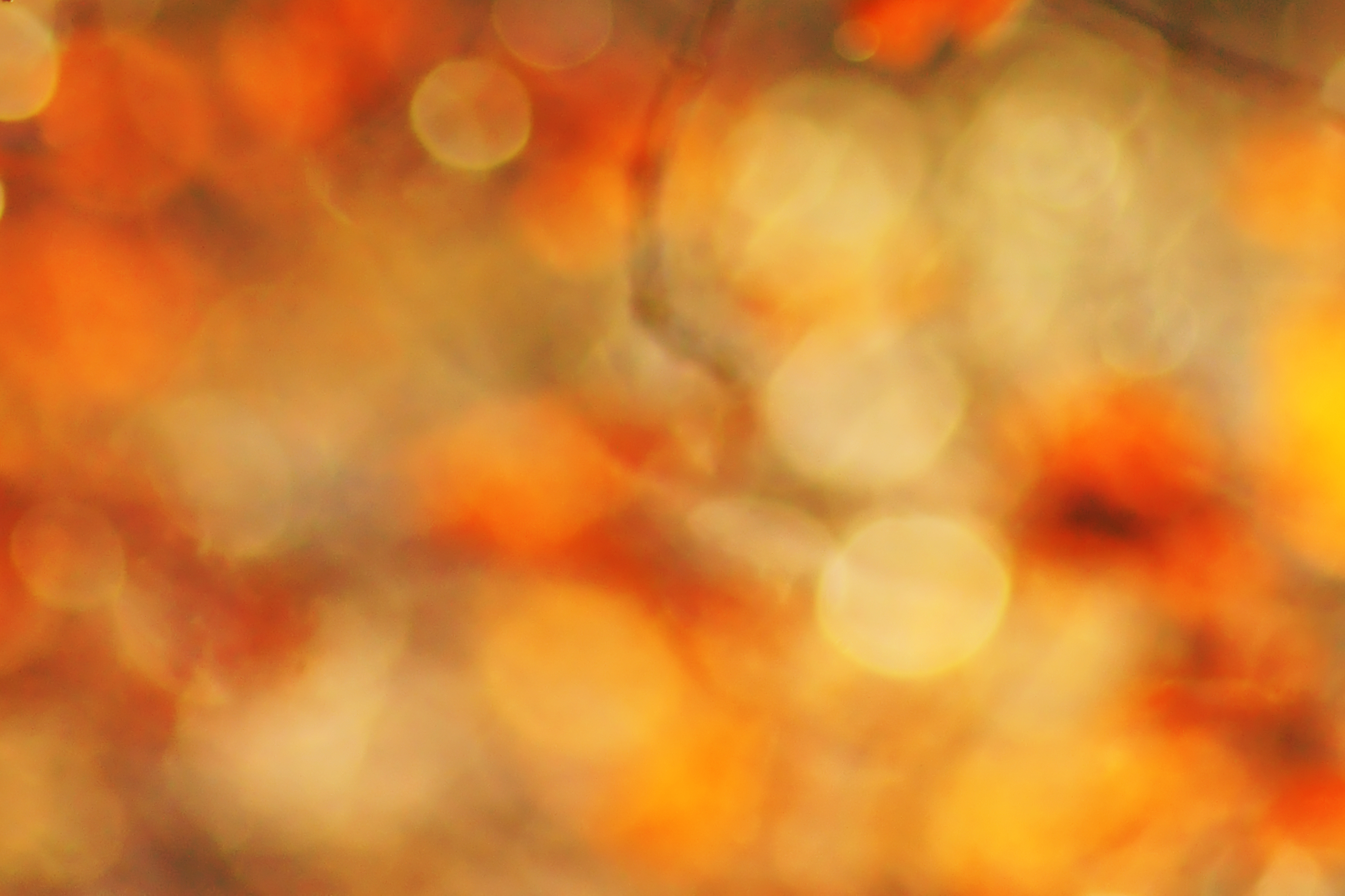 Free Photoshop Texture Overlays Free Photoshop Texture Overlays