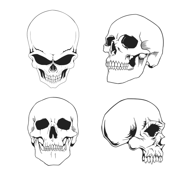 skull clip art vector - photo #34