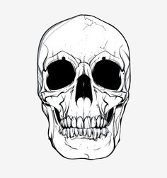 Free Skull Vector Art