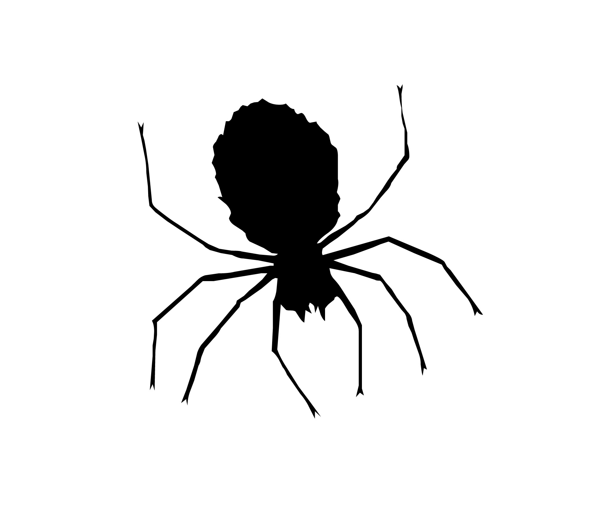 Halloween Spider Clip Art Black and White