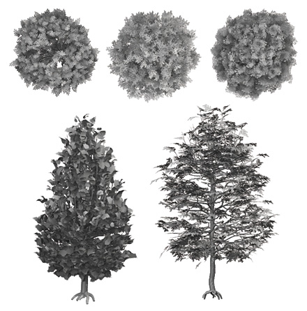 High Resolution Photoshop Trees