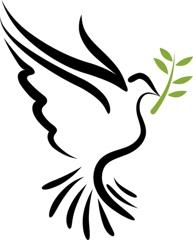 12 Holy Spirit Dove Vector Images