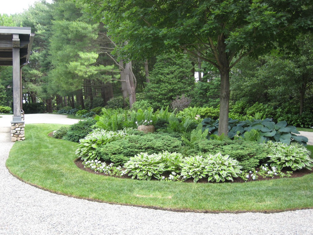 Home Landscape Design