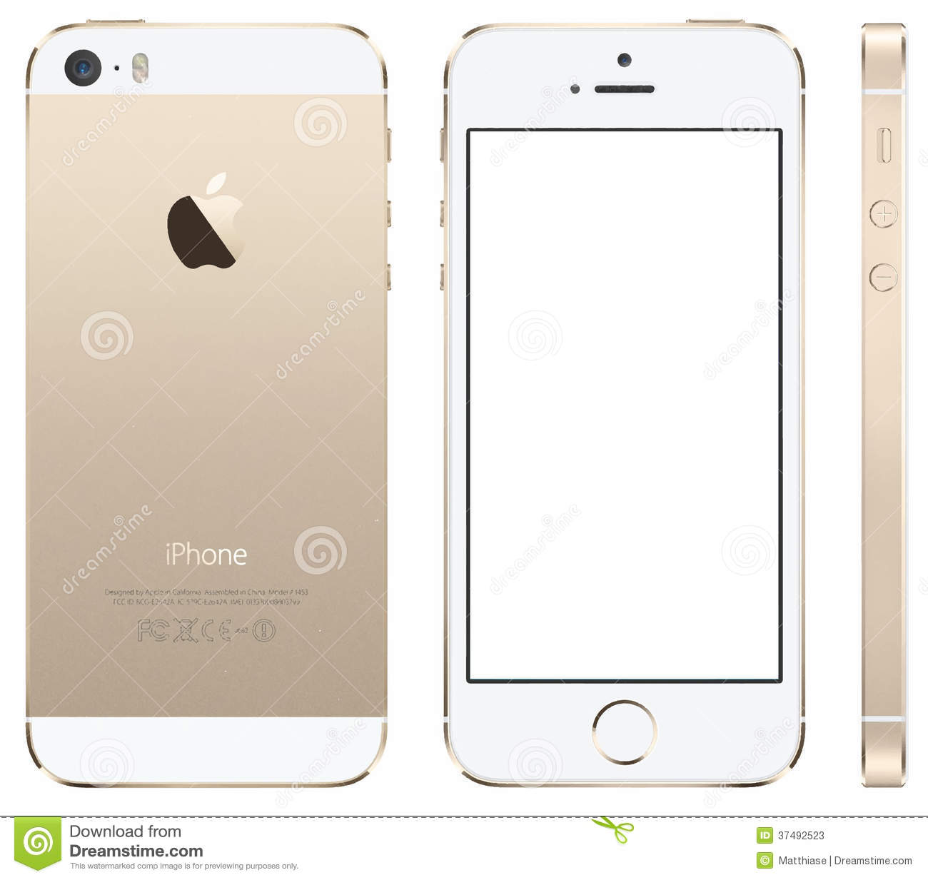 iPhone 5S Blank Screen