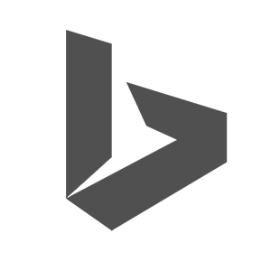 Microsoft Bing Logo Icon