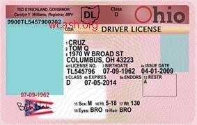 Ohio Driver's License Template