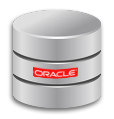 Oracle Database Icon