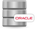 Oracle Database Icon