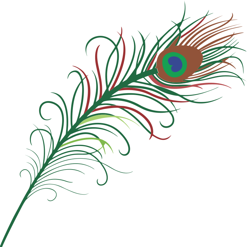 Peacock Feather Clip Art Free