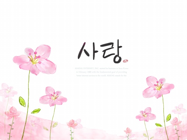 Pink Flower Design Pink Flower Design
