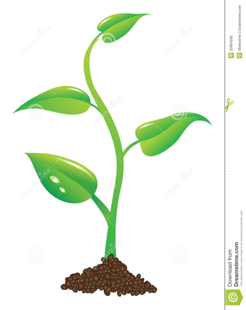 Plant Sprout Clip Art