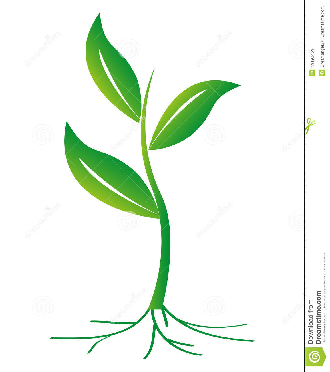 Plant with Roots Vector