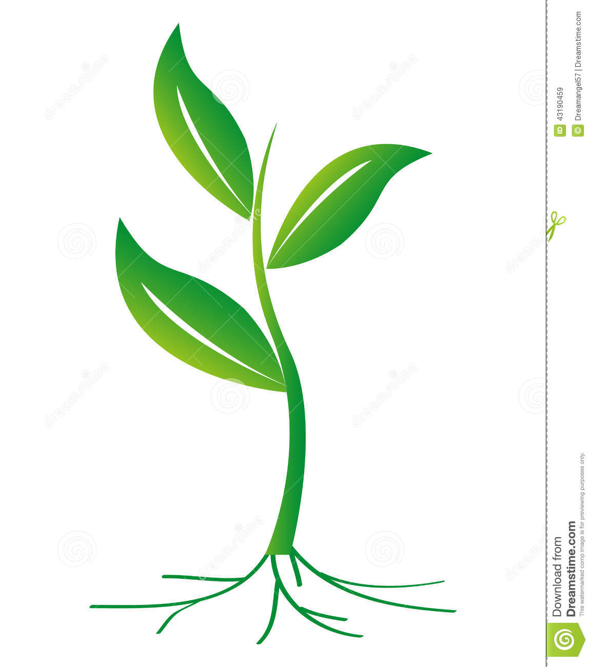 Plant with Roots Vector Plant with Roots Vector