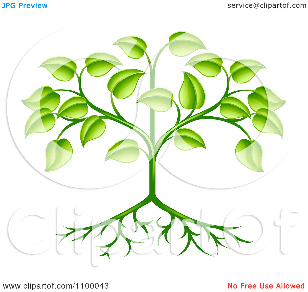 Plants with Roots and Leaves Clip Art