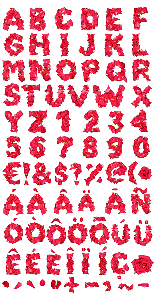 Red Rose Flower Fonts