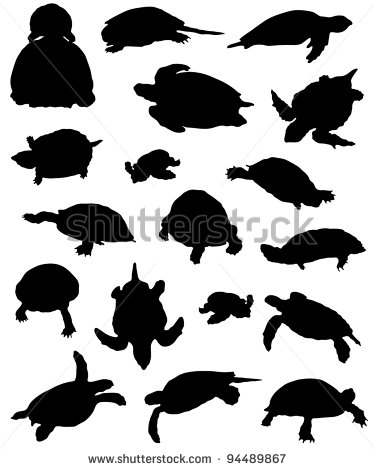 Sea Turtle Silhouette