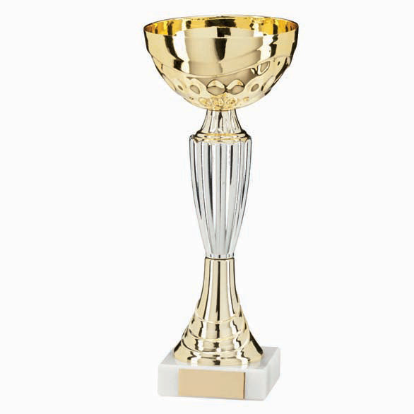 Silver Trophy Engraving Aluminum